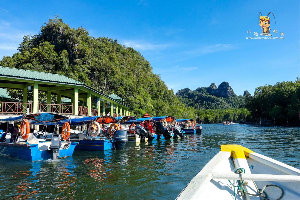 Jelajahi Ekosistem Mangrove Langkawi dengan Mangrove Tour yang Menakjubkan